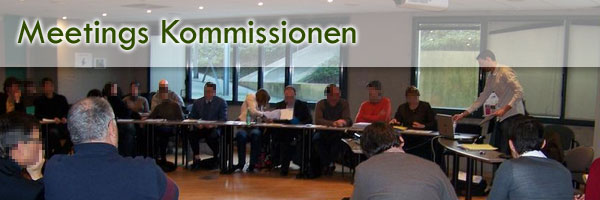 Meetings Kommissionen